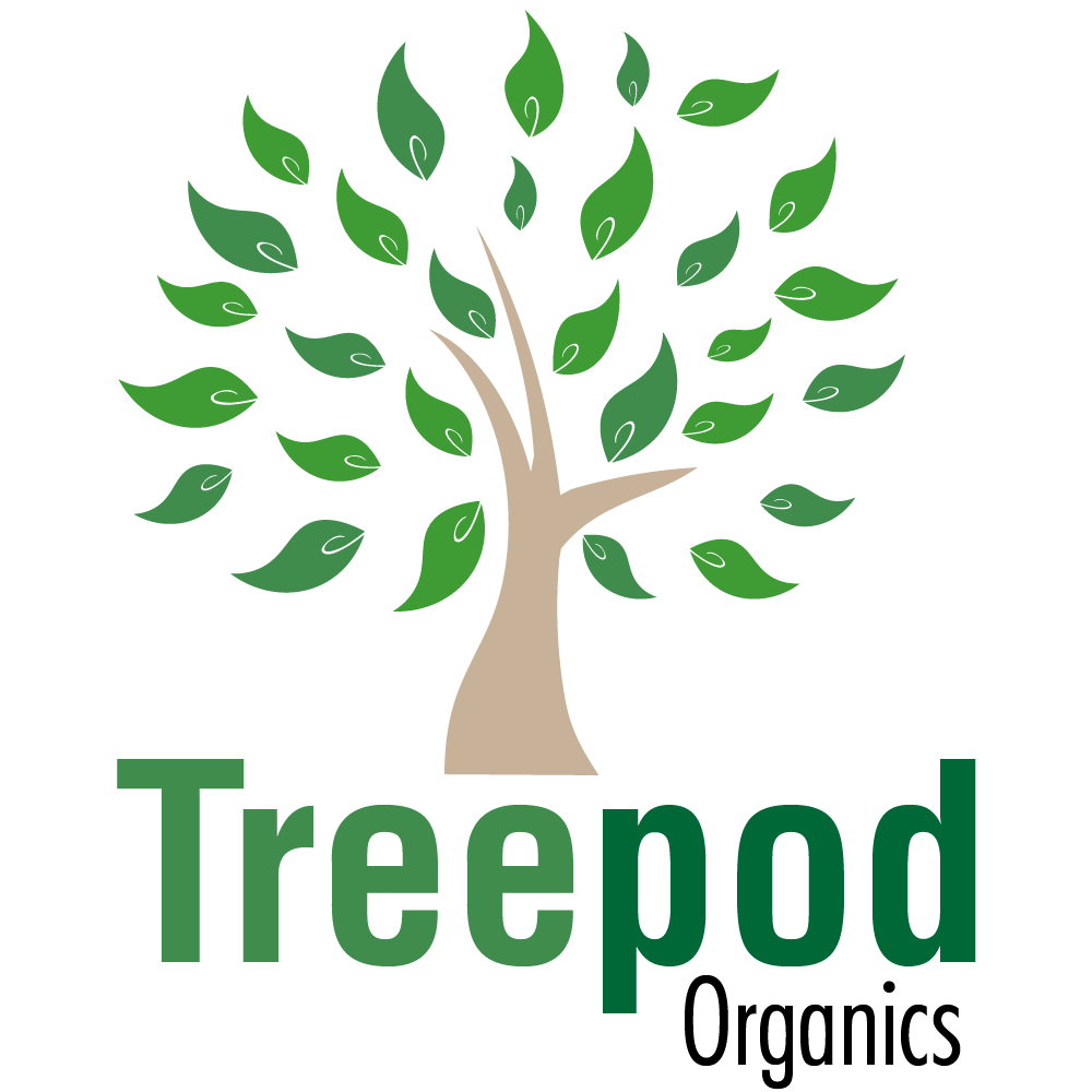 Miguel Ayala logo design project 6